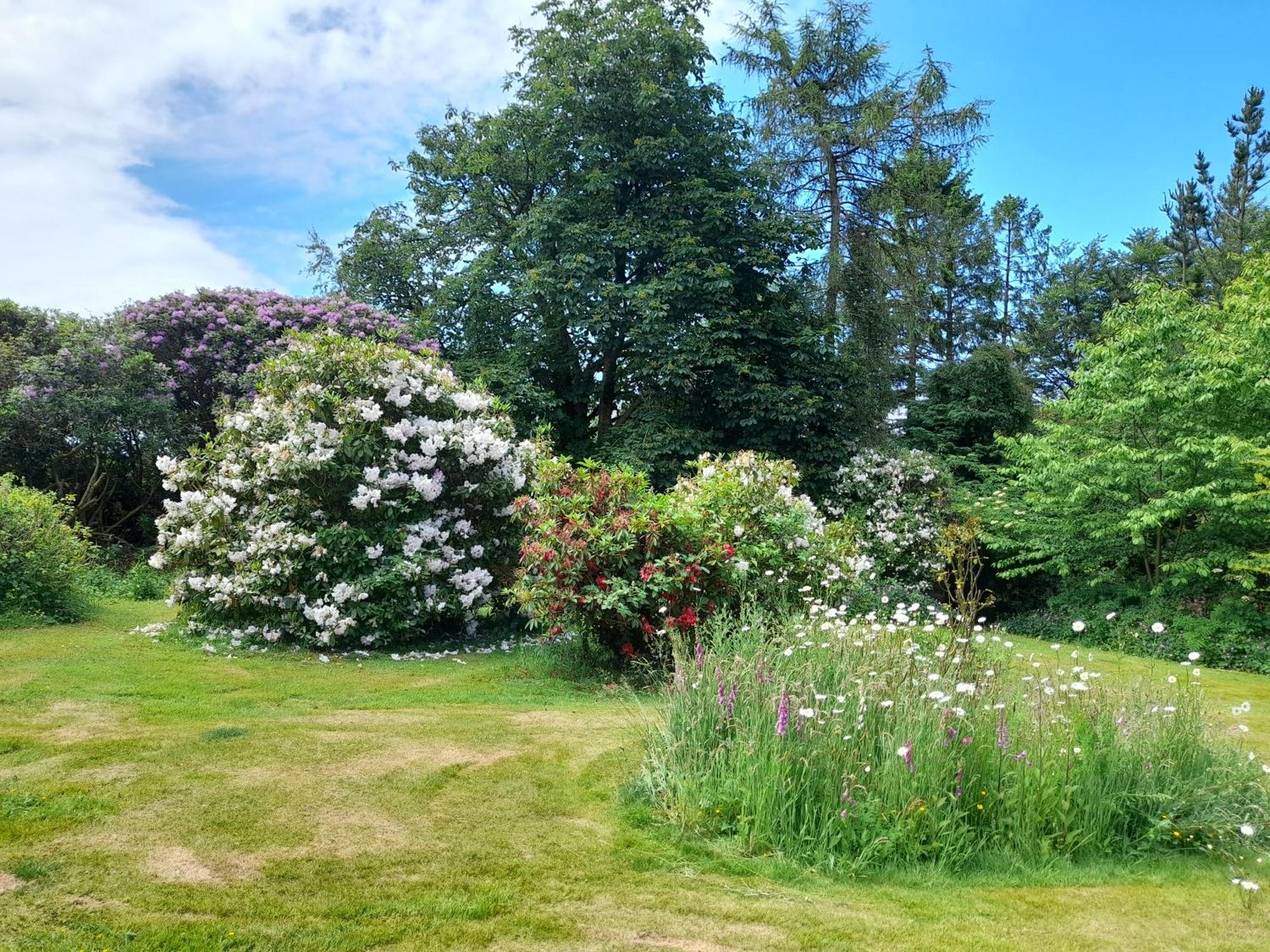 Fairwater Head Hotel Axminster Luaran gambar