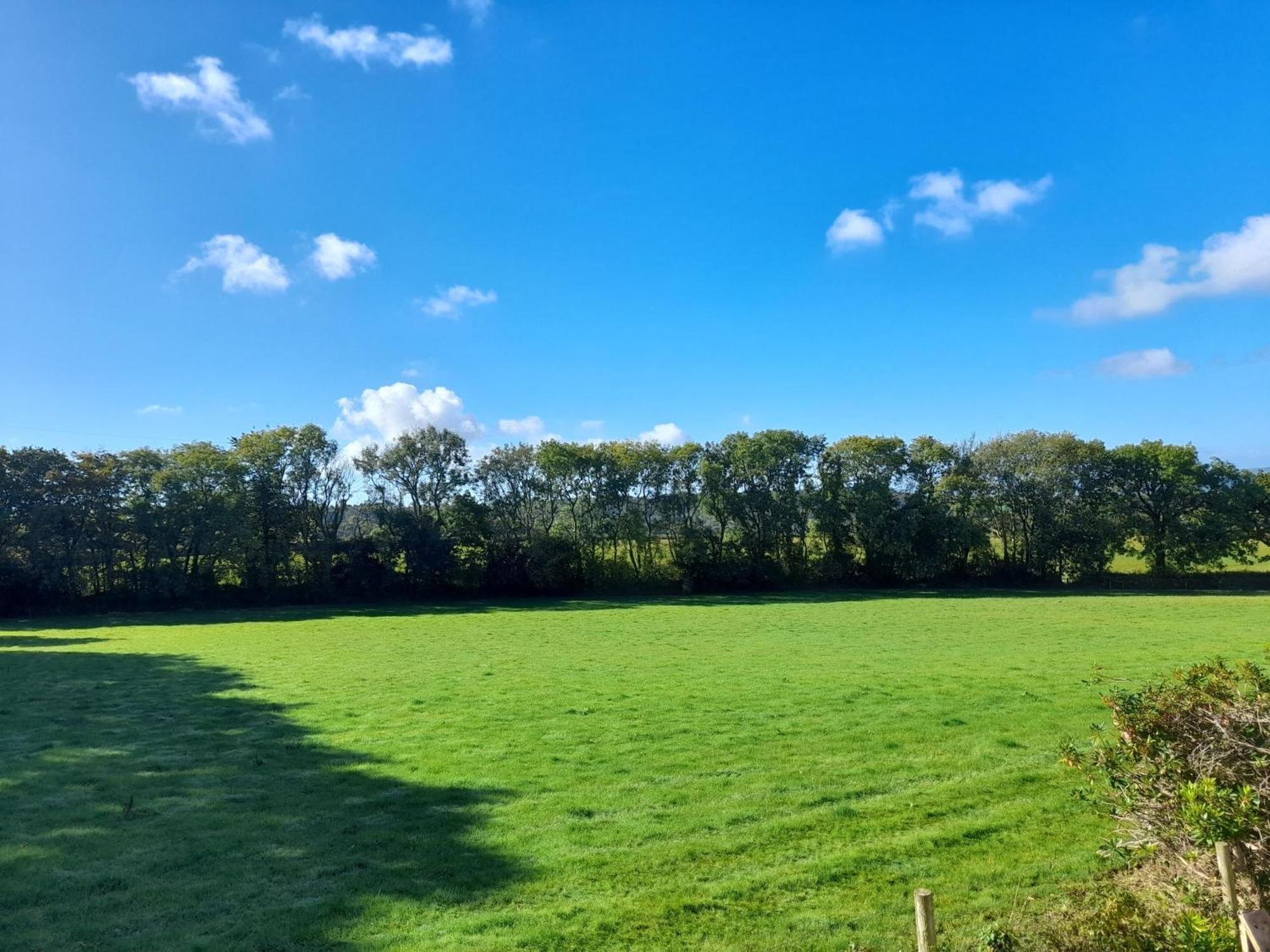 Fairwater Head Hotel Axminster Bilik gambar